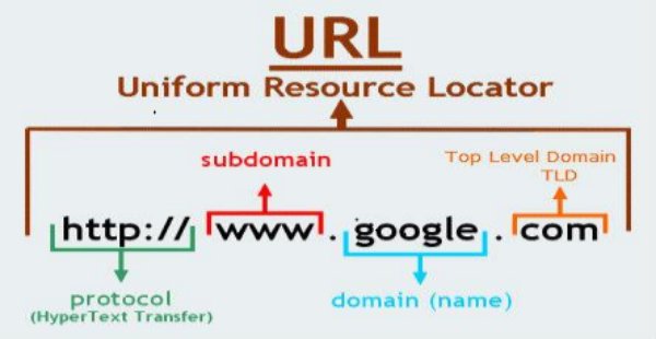 你知道域名和网站之间是如何建立联系的吗？